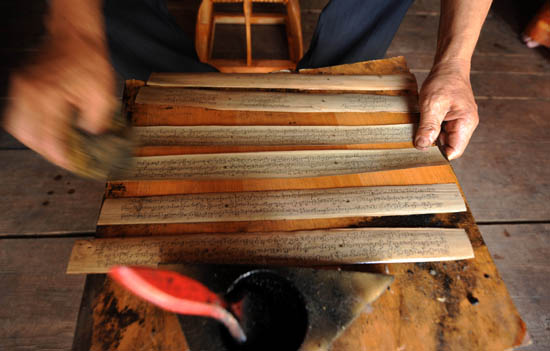 Cây lá bối 7