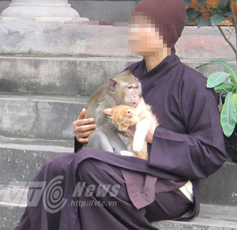 Sư thầy bí ẩn và công việc kỳ lạ trước những cái chết