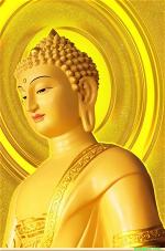 Luật Học, Mấy Vấn Đề Nhìn Lại