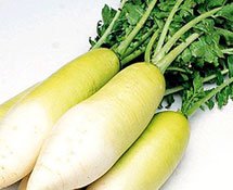 Củ cải