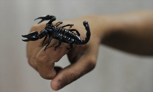 scorpion