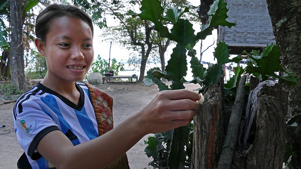 {title} Khất thực,Phật giáo,Lào