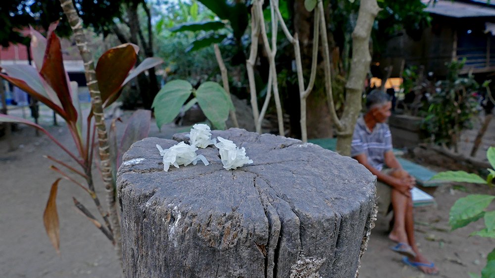 {title} Khất thực,Phật giáo,Lào
