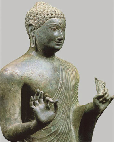 Bao vat quoc gia 1.200 tuoi o Sai Gon - Anh 2