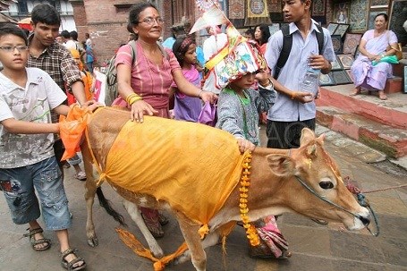 Lễ Gai Jatra 