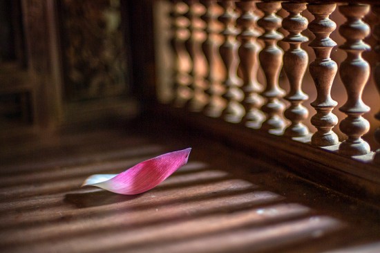 Có nên yêu một người xuất gia